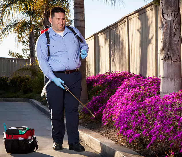 About Our Eco Safe Pest Control Experts in White City, OR