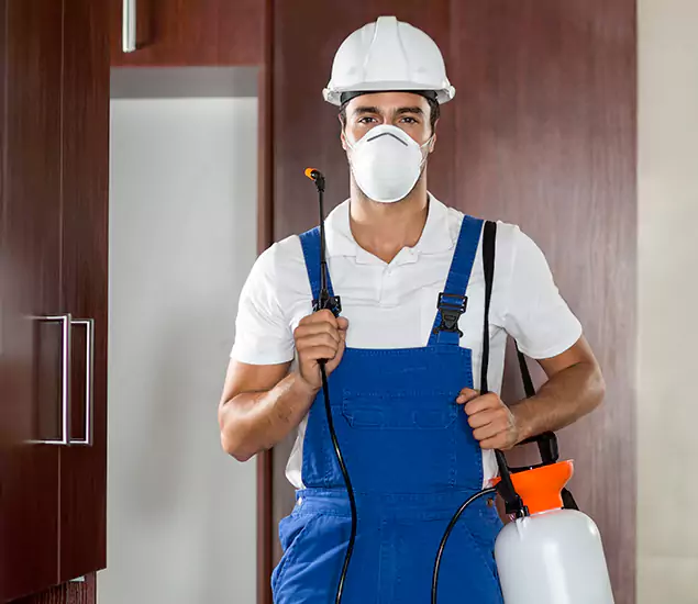 Trusted Exterminator and Pest Exterminator Professionals in White City, OR
