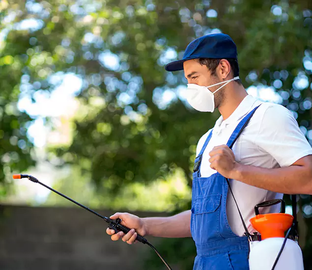Your Trusted Flea and Tick Control in White City, OR