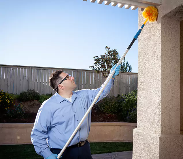 Trusted Experts in White City OR for Formosan Termite Treatment and Black Termite Control