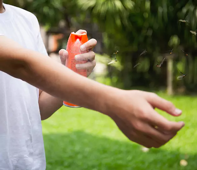 Your Best Indoor Bug Killer Team in White City, OR