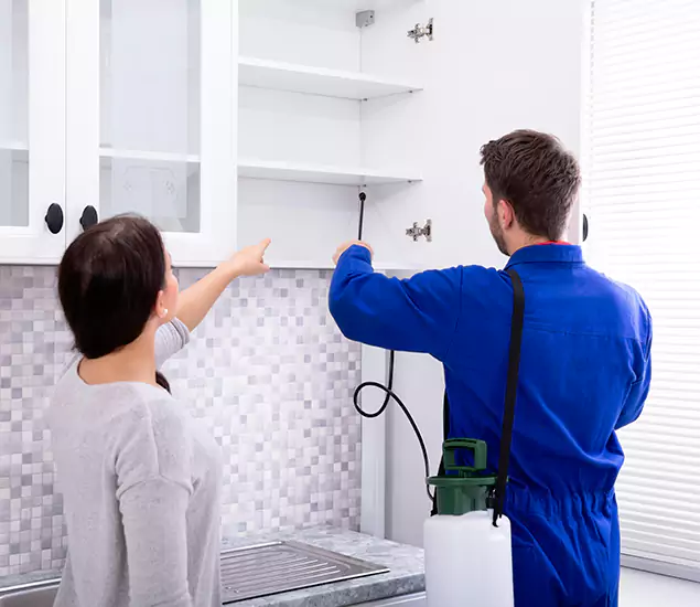 In White City, OR Advanced Household Pest Control by White City Pest Control Pro