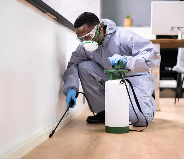 Leading Industrial Pest Control Experts Serving White City, OR