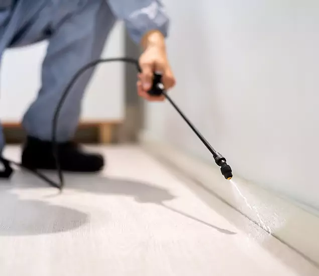 About Our Liquid Termite Treatment Experts in White City, OR