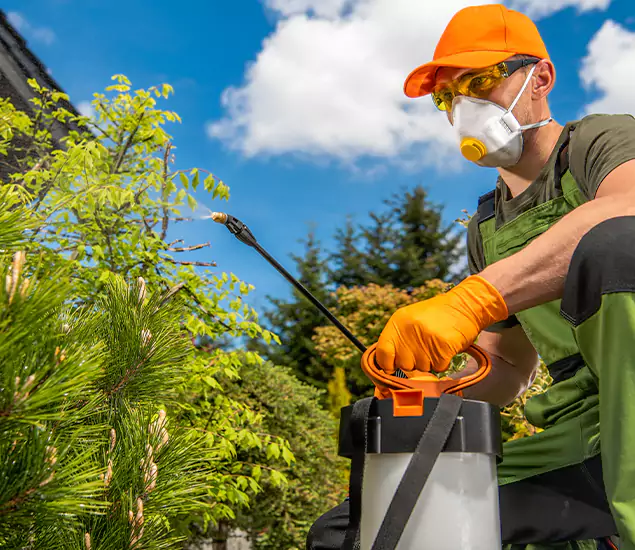 Your Mosquito Repellent Barrier Service in White City, OR