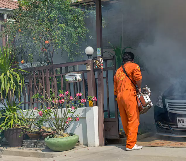 Your Proven Mosquito Fogging Company in White City, OR