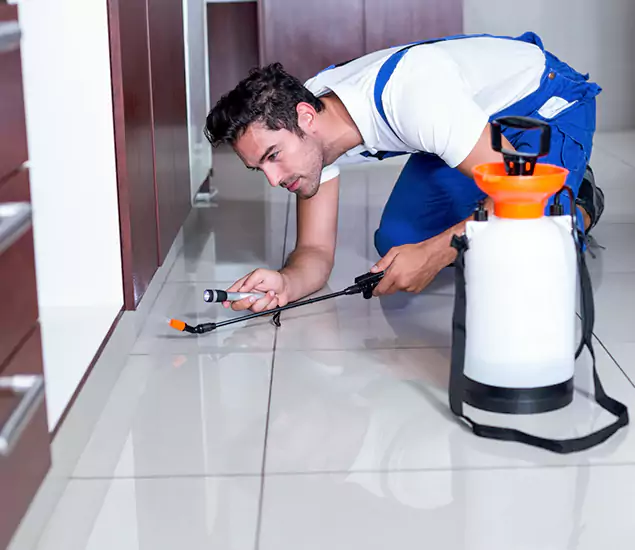 Reliable Professional Mouse Removal: Your Best Mouse Control Company in White City, OR