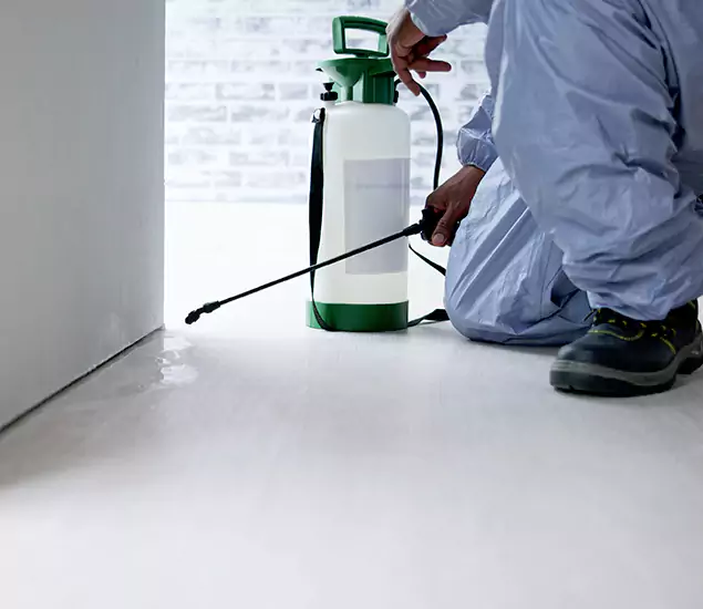 Affordable Pest Control Experts in White City, OR