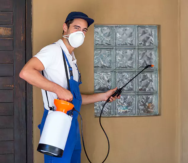 in White City, OR Advanced Outdoor Pest Control Solutions by White City Pest Control Pro