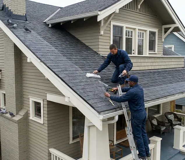 Your Pigeon Control Experts in White City, OR