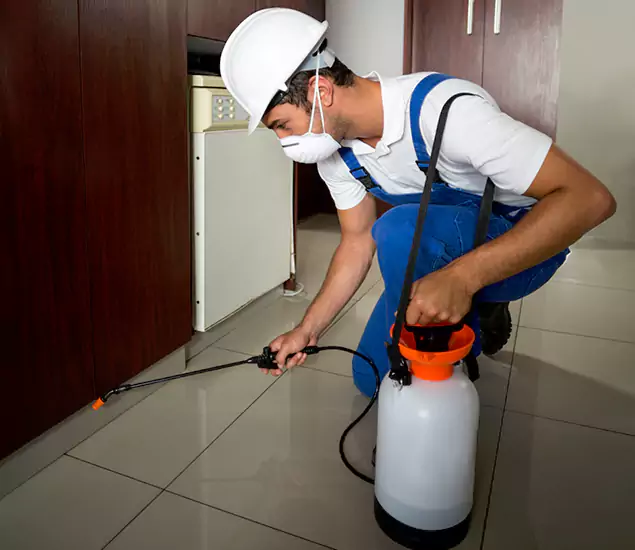 Advanced Termite Pre Treatment Experts in White City, OR