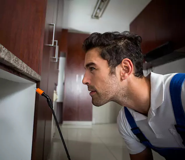 Expert Rodent in Attic Removal: Your Proven Pest Specialists in White City, OR
