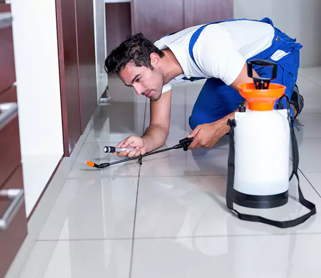 Advanced Slab Termite Treatment Experts You Can Trust&nbsp;in White City, OR