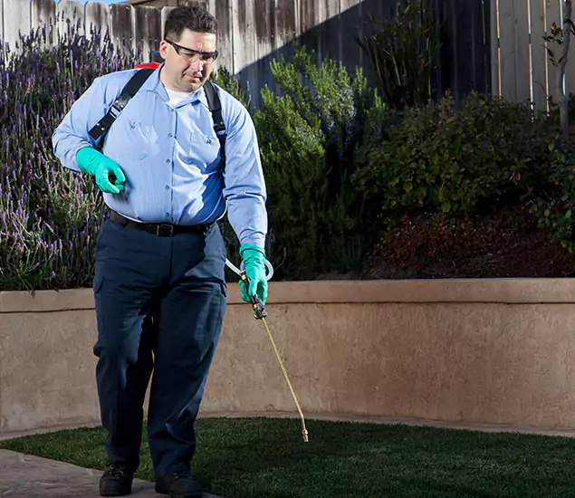Reliable Termite Barrier Treatment Experts in White City, OR
