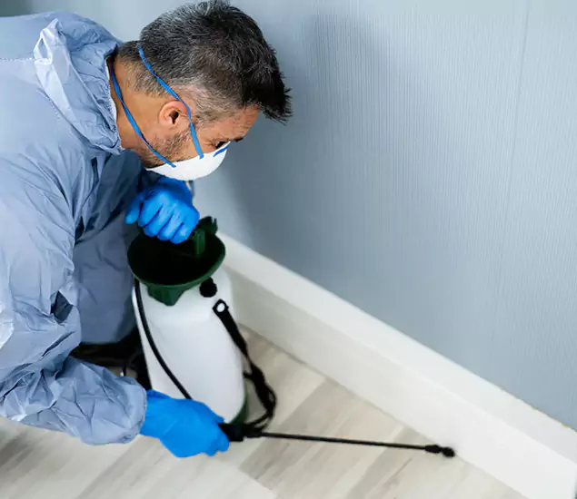 Reliable Termite Cost Experts in White City, OR