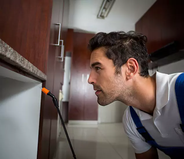 Termite Inspection Cost Experts You Can Trust in White City, OR
