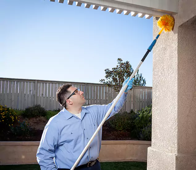 Your Trusted Wasp Removal Company in White City, OR