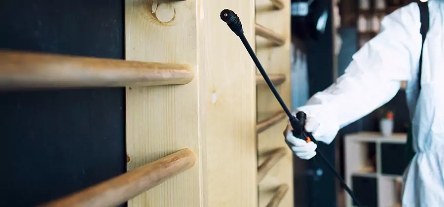 Attic Wood Termite Treatment in White City