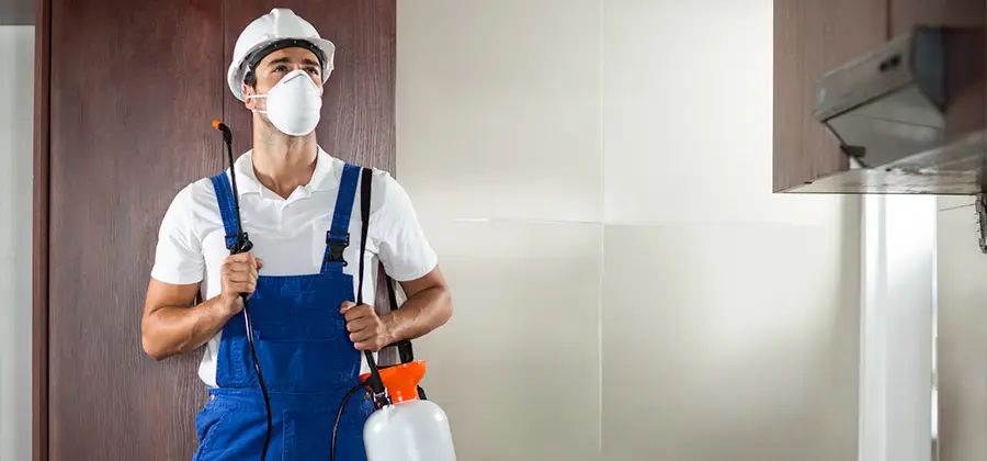 Per Room Bed Bug Cost in White City