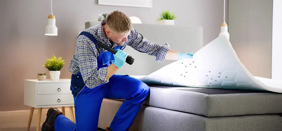 Residential Bed Bug Pest Control in White City