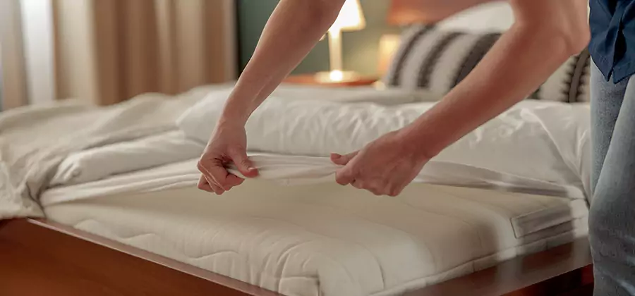 Bed Bug Extermination Services in White City