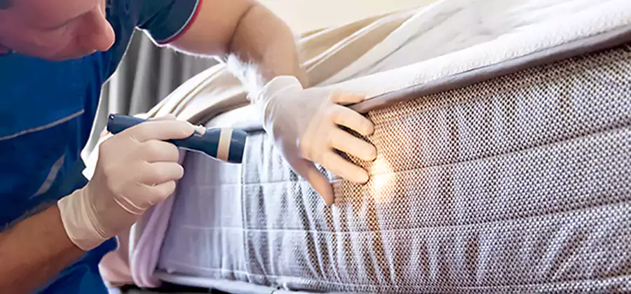 Residential Bed Bug Treatment Cost in White City