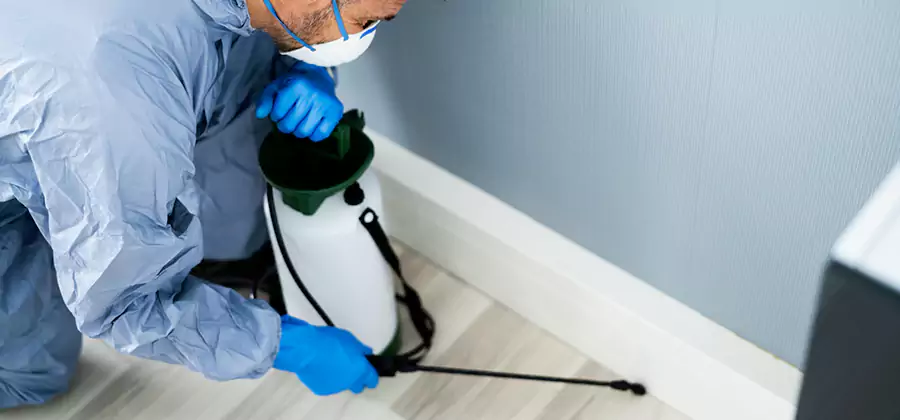Fumigate Apartment Roaches in White City