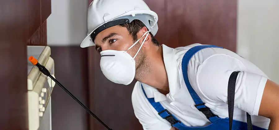 Injection Foam Treatment for Drywood Termites in White City