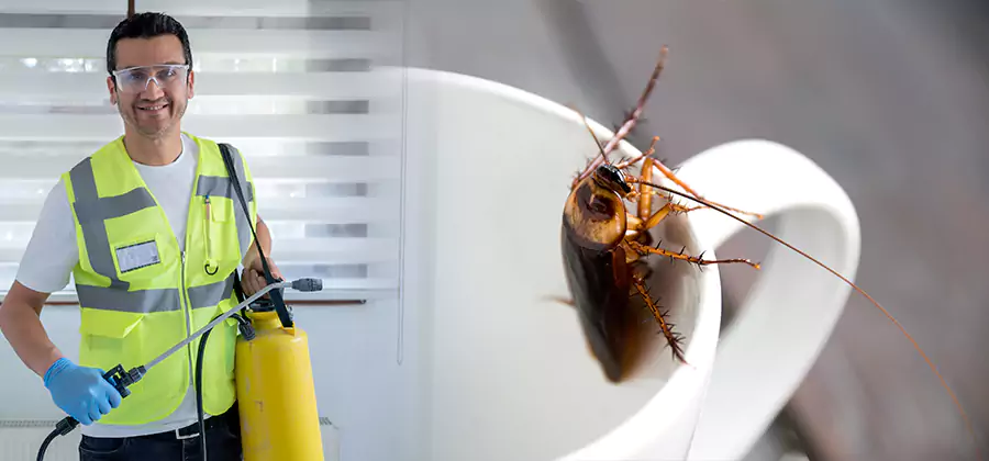 German Roach Infestation Treatment White City
