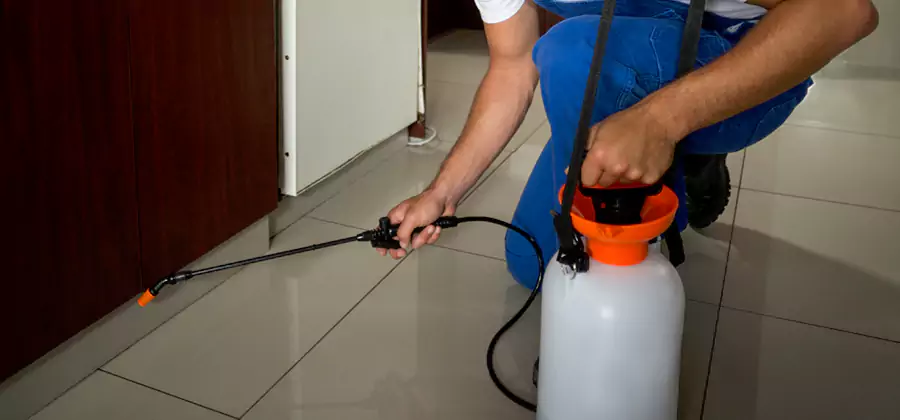 Indoor Mosquito Treatment in White City