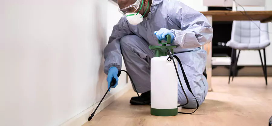 Long Lasting Mosquito Treatment in White City