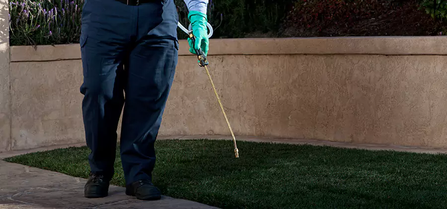 Soil Treatment for New Construction Termites in White City