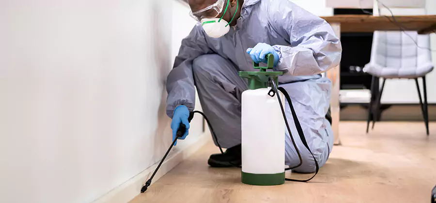 No Tent Termite Extermination With Electric Tool in White City