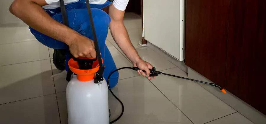 One Time Termite Control in White City