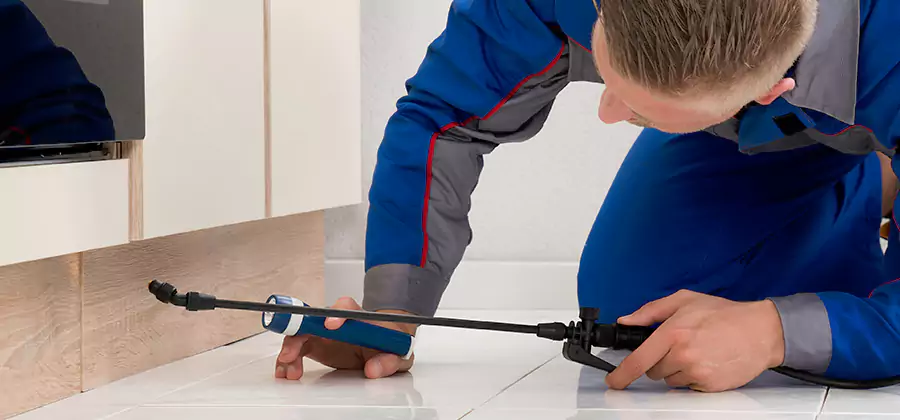 Moisture Treatment For Termite Control Service in White City