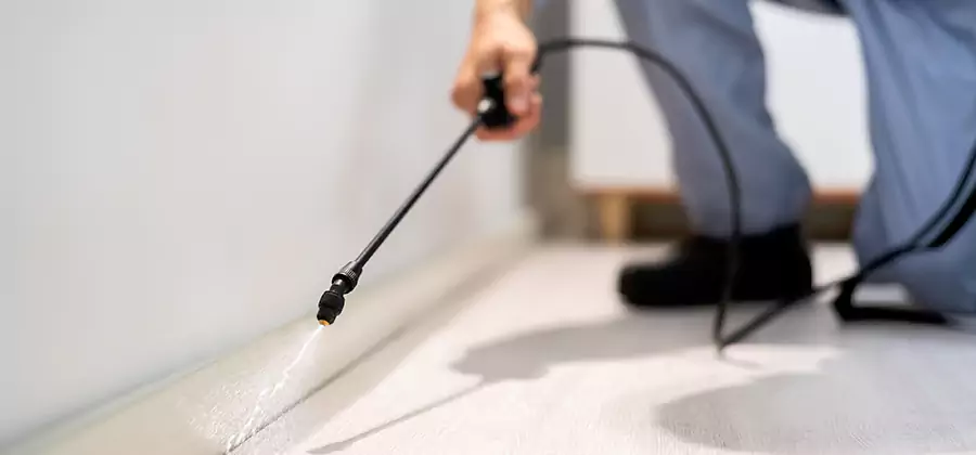 Direct Termite Injection Treatment in White City