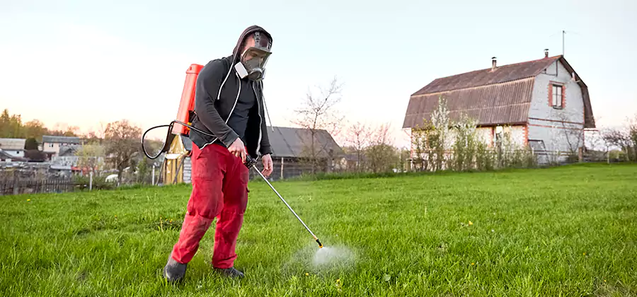 Flea and Tick Pest Control in White City