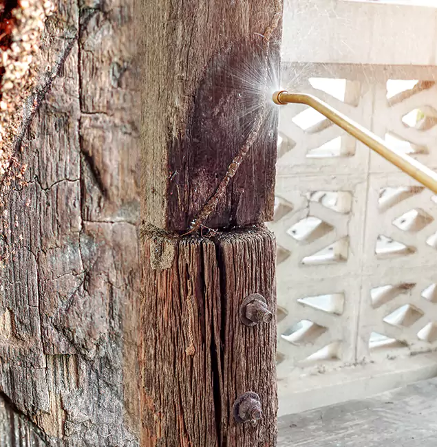Why Choose White City Pest Control Pro for Attic Termite Treatment in White City, OR?