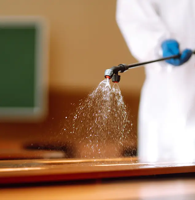 Why Choose White City Pest Control Pro for Bed Bug Chemical Treatment in White City, OR?