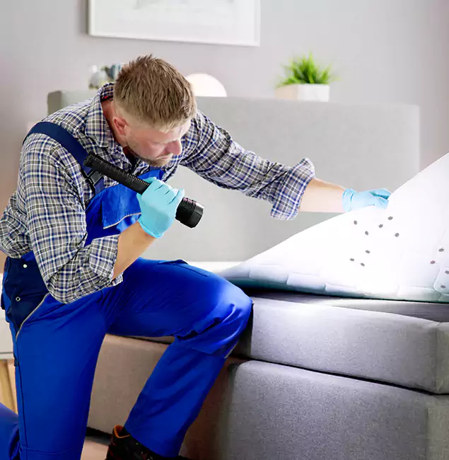 Why Choose White City Pest Control Pro for Bed Bug Exterminator Cost in White City, OR?