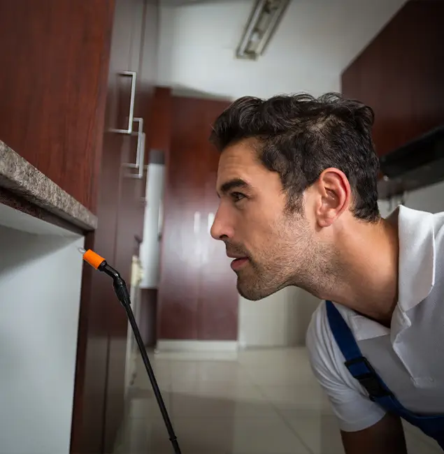 Why Choose White City Pest Control Pro for Bed Bug Removal Cost in White City, OR?