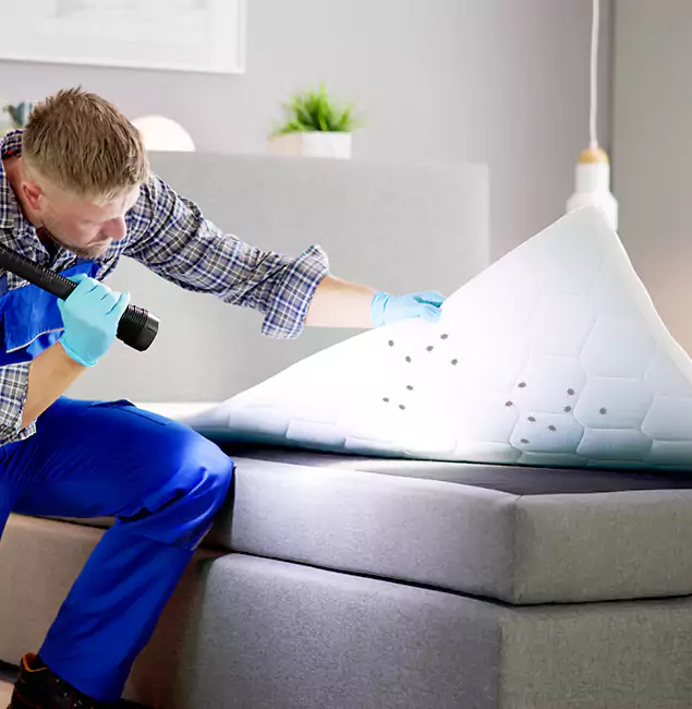 Why Choose White City Pest Control Pro in White City, OR?