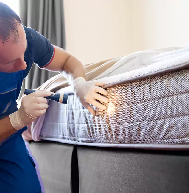 Why Choose White City Pest Control Pro for Bed Bug Services in White City, OR?