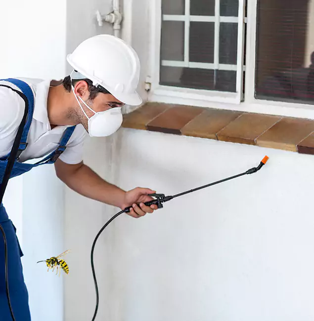 Why White City Property Owners Choose White City Pest Control Pro for Bee Nest Removal?