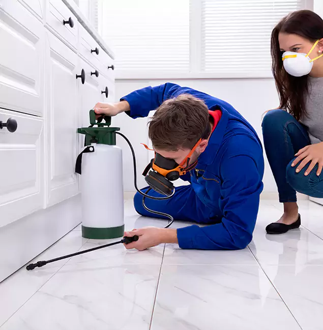 Why Choose White City Pest Control Pro in White City, OR?
