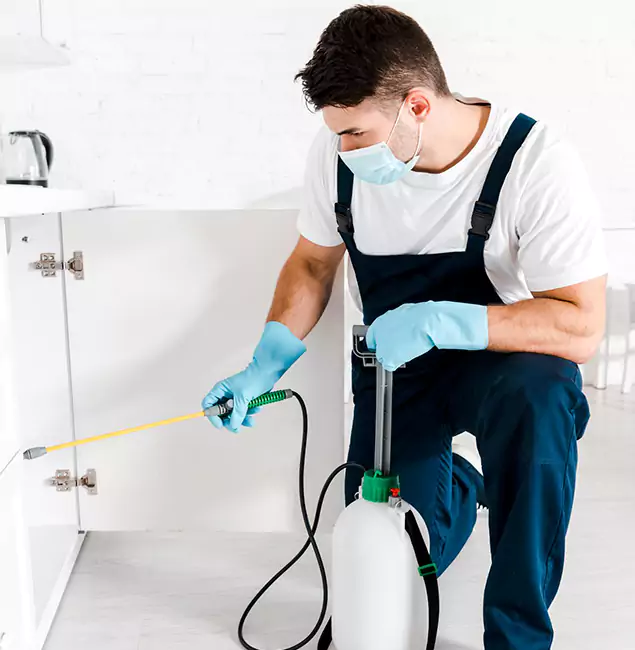 Why Choose White City Pest Control Pro for Emergency Pest Control in White City?