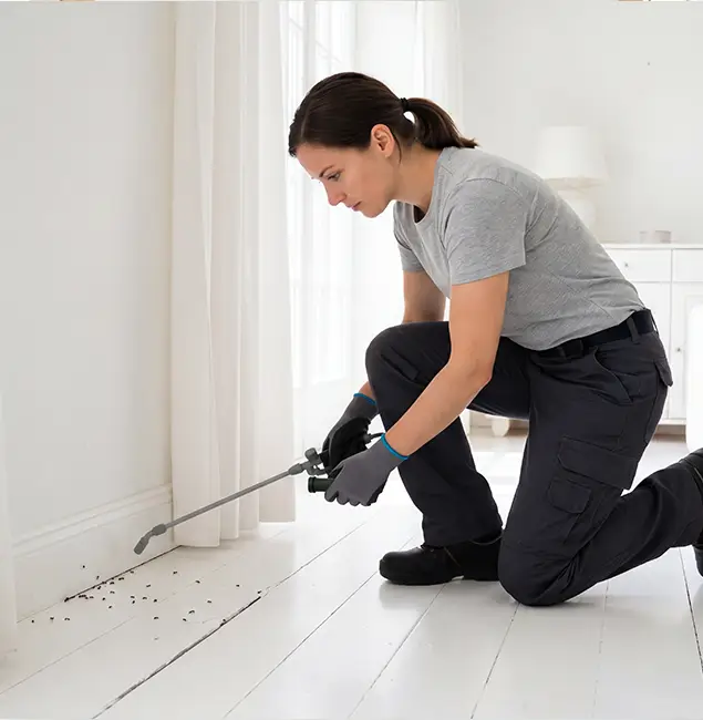 Why White City, OR Property Owners Trust White City Pest Control Pro for Fire Ant Control?