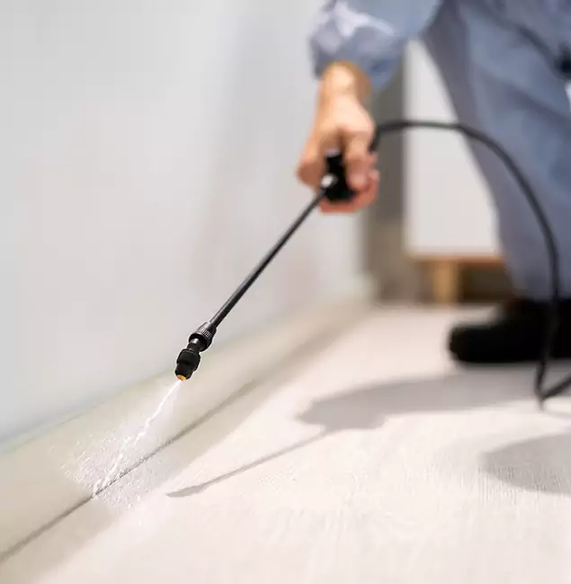 Why Choose White City Pest Control Pro for Termite Treatment in White City, OR?
