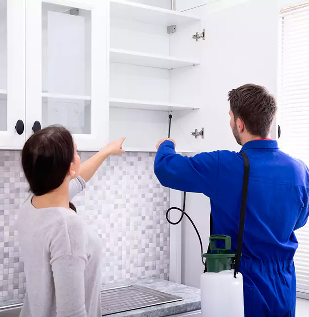 Why White City Property Owners Choose White City Pest Control Pro for Ground Bee Removal?