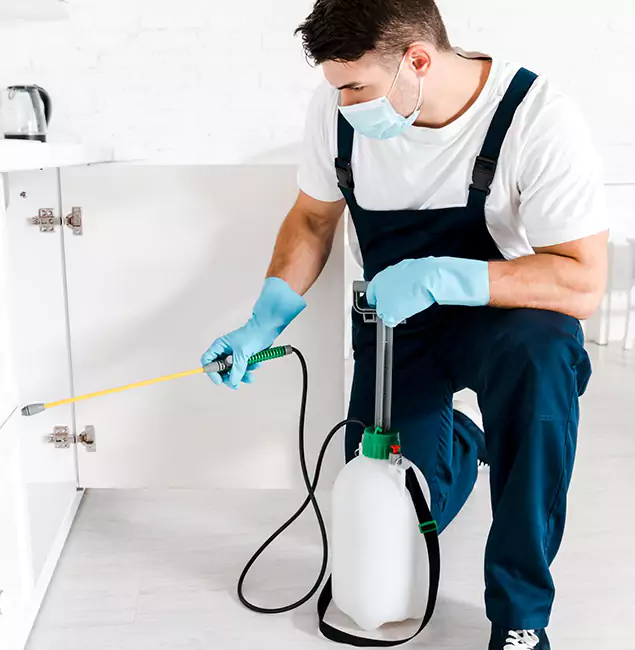 Why Choose White City Pest Control Pro for Indoor Pest Control in White City, OR?